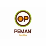 Peman